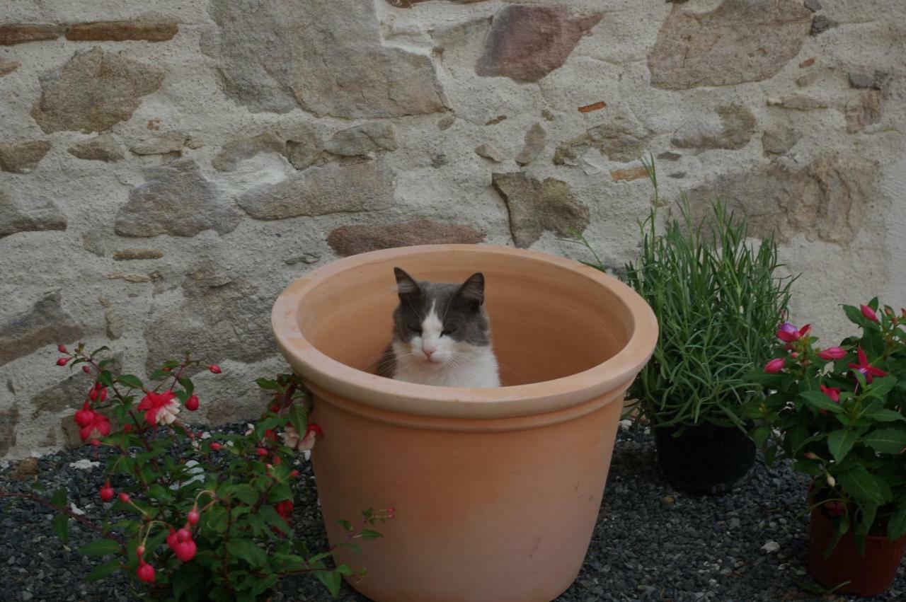 Les Trois Etangs Bed & Breakfast Saint-Viaud Exterior photo